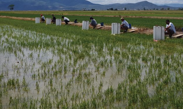 Comprometidos con la agricultura sostenible