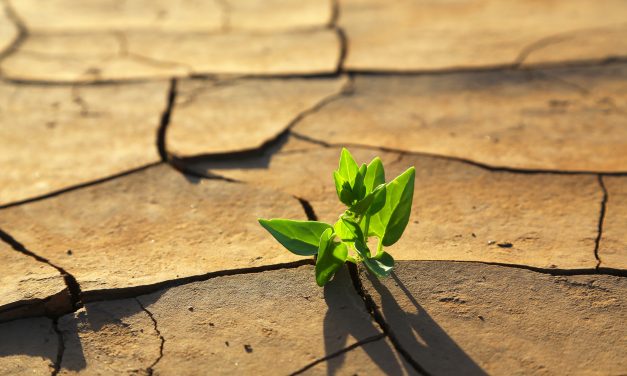 ¿Qué podemos hacer para frenar el cambio climático?