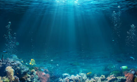 ¿Qué conoces sobre los océanos?