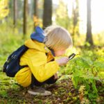 Aprender explorando: actividades al aire libre que estimulan el desarrollo infantil