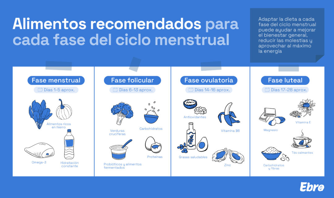 Cómo adaptar la alimentación a cada fase del ciclo menstrual para sentirte mejor