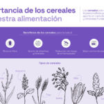 La importancia de los cereales para nuestra alimentación