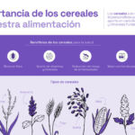 La importancia de los cereales para nuestra alimentación