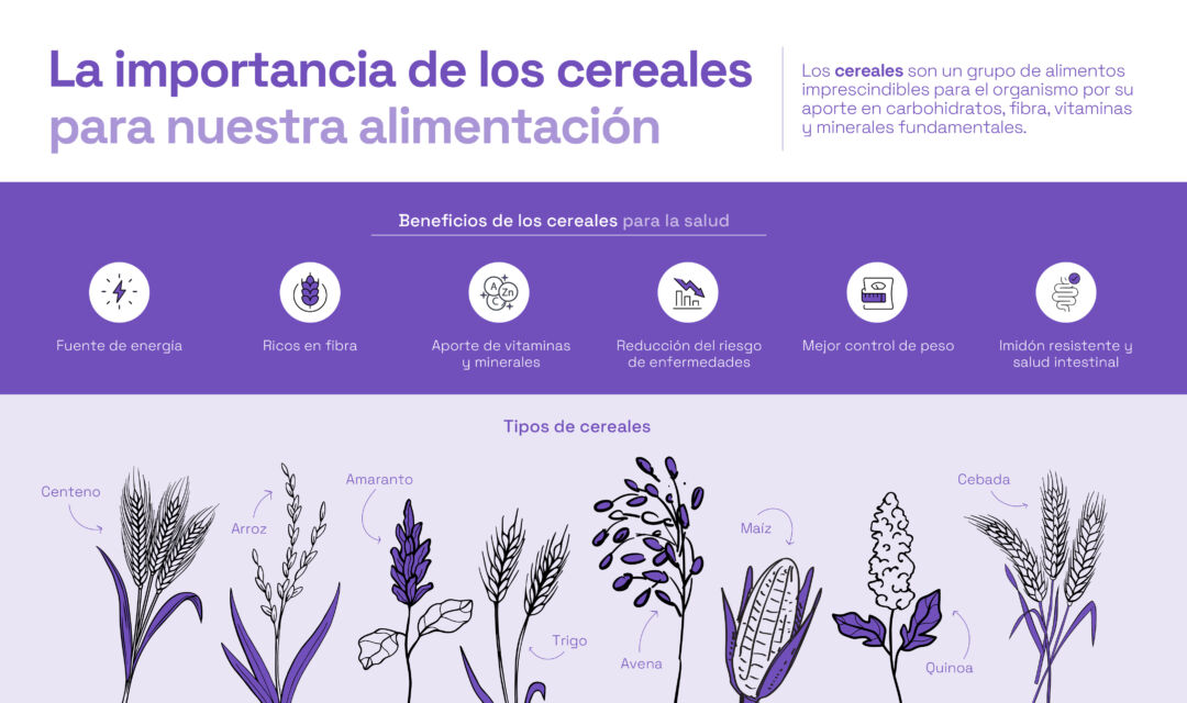 La importancia de los cereales para nuestra alimentación